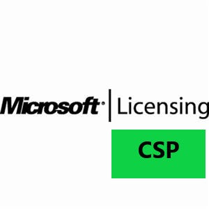 SOSVUCAL25CSP- Microsoft Windows Server Standard 2025 User CAL Perpetual CSP